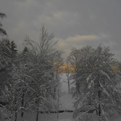 2019 01 : Leden se sněhem v Nové Perle. (fotografie Ivan Mečl)